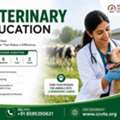 Looking For Veterinary Courses? Explore Skill-Based Training