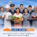 Global Recruit Experts &ndash; Top Manpower Agency In Nepal For Europe And The Middle East