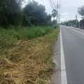 THB 3500000,  6 BR,  1442 Sq. Feet,  Land For Sale In Ban Bueng, Chonburi. Land For Sale, 3 Rai, 2 Ngan, 42 Square Wah, Yellow