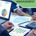 Audit Management