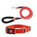 INR 599,  Durable Dog Collar & Leash Set