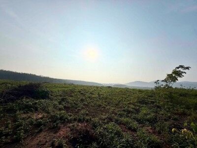 Bangkok, Villas, THB 8000,  36000 Sq. Feet,  Land For Rent In Nong Yai, Chonburi. Long-term Land For Rent, 90 Rai, Yellow Area. Nong