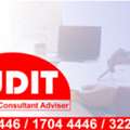Audit Monitoring Consultant Adviser