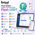 Usd 5000,  Power Modern Crypto Transition Strat: Flash USDT