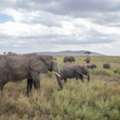 Safaris In Mombasa | Wildlife Tours & Beach Holidays From Kenya's Coast