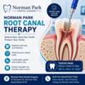 Norman Park Root Canal Therapy For Comfortable Dental Care