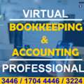 VIRTUAL BOOKKEEPING & ACCOUNTING PROFESSIONALS