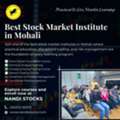 Best Stock Market Institute In Mohali