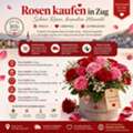 CHF 5,  Rosen Kaufen In Zug &ndash; Edle Rosen Online Bequem Bestellen