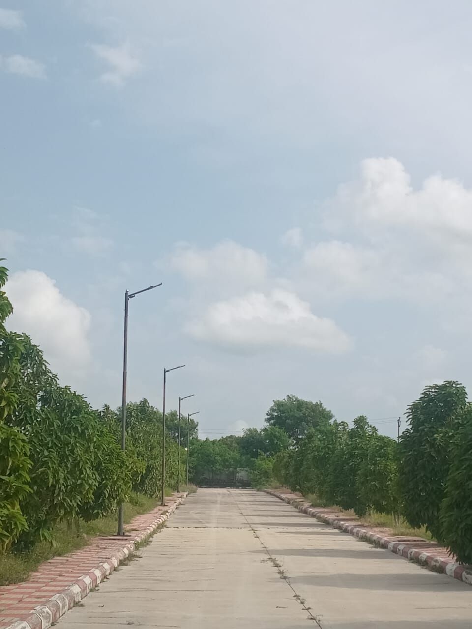 Hyderabad, Residential Plots, INR 21000,  230 Sq. Yard,  HMDA & RERA FINAL APPROVED Open Plots For Sale @ Maheshwaram