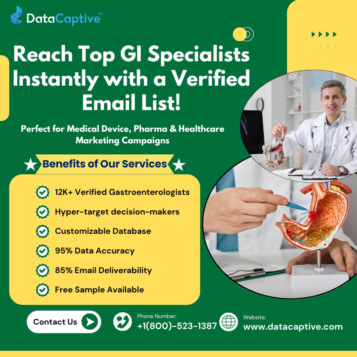 New York, Businesses For Sale, Gastroenterologist Email List: How Do You Reach Them?