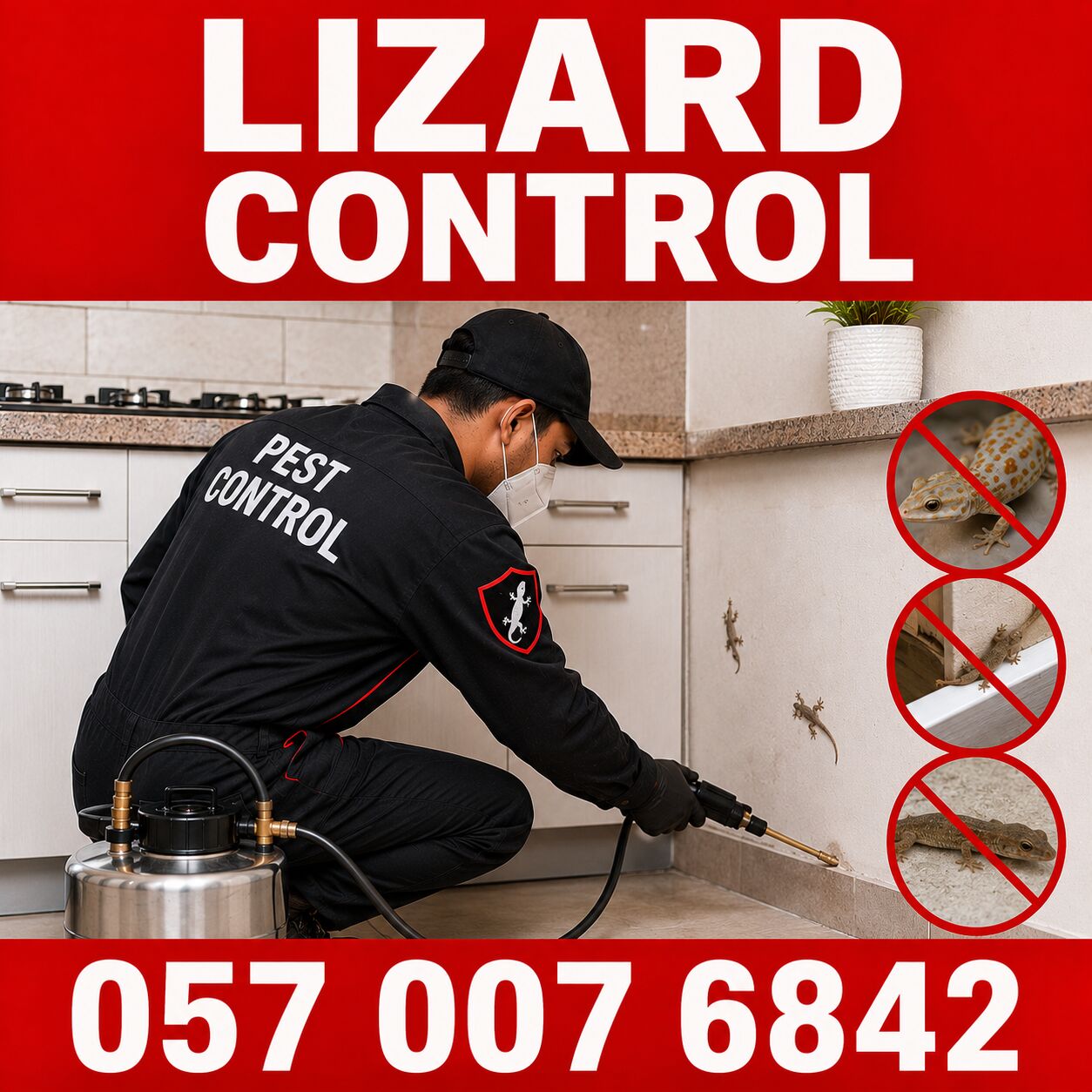 Al Mazruiyah, Pest Control, 🦎🦎🦎 LIZARDS INSIDE YOUR HOME? GET THEM OUT! 🦎 057 007 6842 🦎