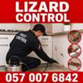 🦎🦎🦎 LIZARDS INSIDE YOUR HOME? GET THEM OUT! 🦎 057 007 6842 🦎