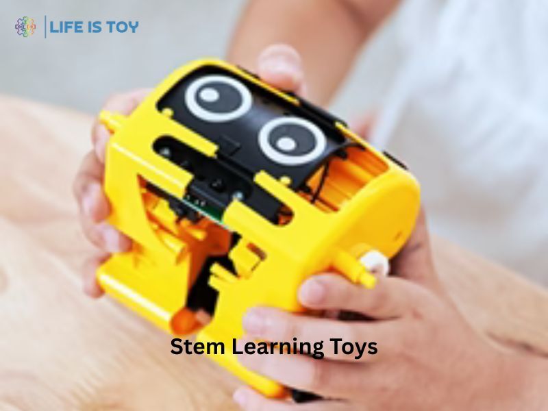 New York, Business, Make Learning More Exciting With Stem Learning Toys