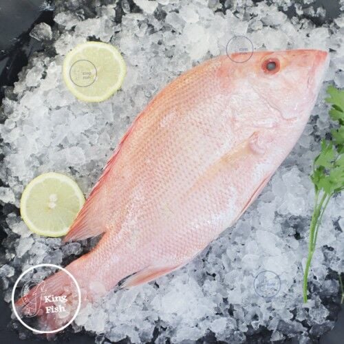 Dubai, Food, AED 60,  Fresh Seafood Online Delivery Dubai |FishandGo
