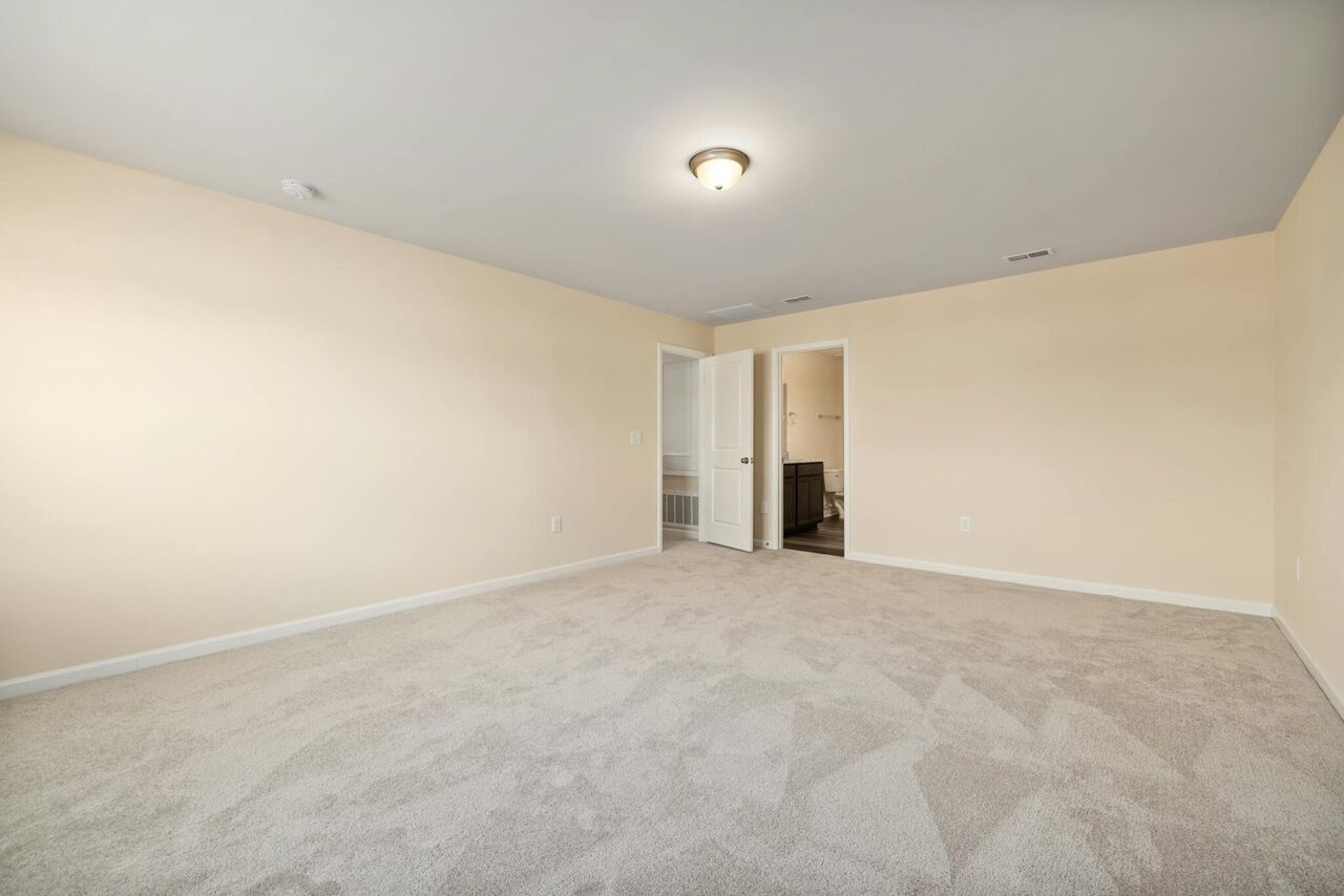 Melbourne, Cleaning, Refresh Your Property With Professional Carpet Cleaning