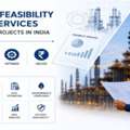 Strategic Feasibility And Business Planning Consulting In India