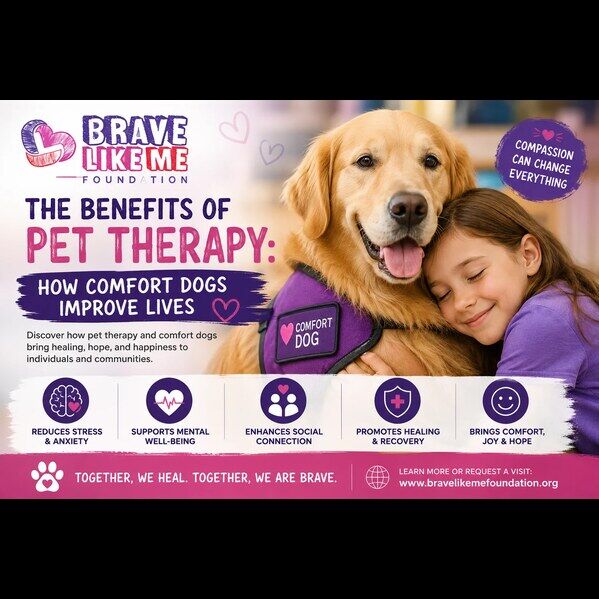 New York, Pet Supplies, Pet Therapy Benefits: How Comfort Dogs Improve Lives &ndash; Brave Like Me