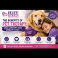 Pet Therapy Benefits: How Comfort Dogs Improve Lives &ndash; Brave Like Me