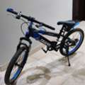 SAR 250,  Cycle