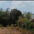 THB 190000,  6 BR,  7800 Sq. Feet,  Year 69, Looking To Buy Property With Good Conditions, Able To Pay Installments Directly