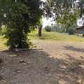 THB 2900000,  6 BR,  3600 Sq. Feet,  Year 69, Looking To Buy Property With Good Conditions, Able To Pay Installments Directly