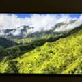 SAR 900,  Sony Bravia 2 II 50-inch 4K Smart Google TV