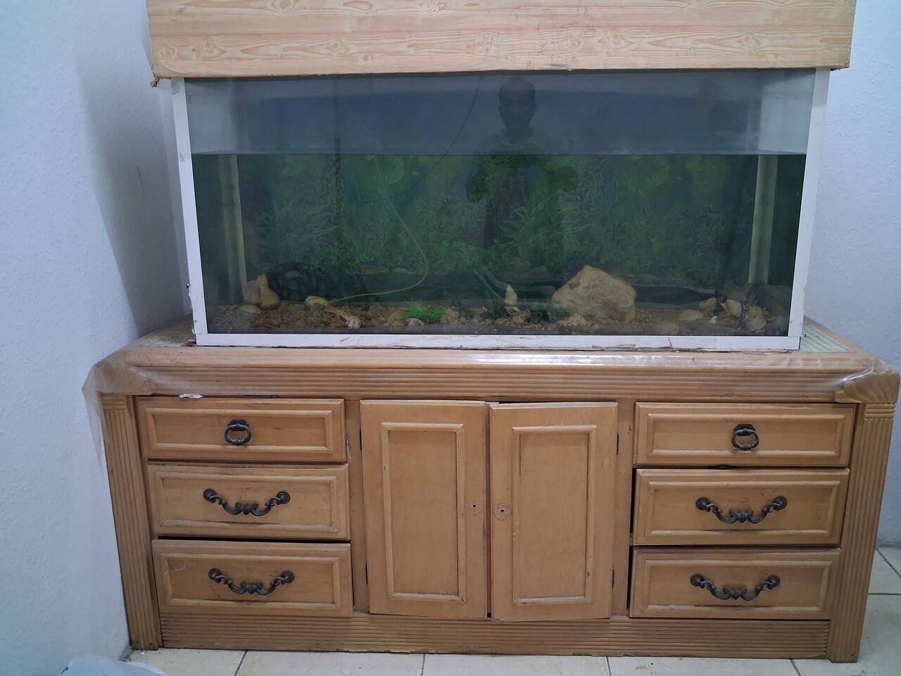 Jubail, Pet Supplies, SAR 200,  Urgent Sale: Large Fish Tank With Wooden Storage Cabinet / Stand In Al-Jubail (3 Days Only