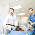 Need Emergency Medical Services For Accident Injuries? V One Hospital Is Here To Help