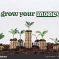 Business Investment Opportunity