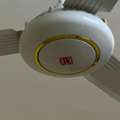 SAR 80,  Cealing Fan