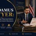Need A Mandamus Lawyer? Get Experienced Legal Guidance For Your Case