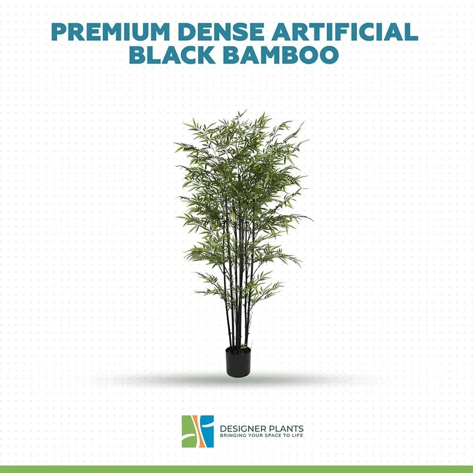 Melbourne, Business, Bring Height And Calm Indoors With Fake Bamboo Plants