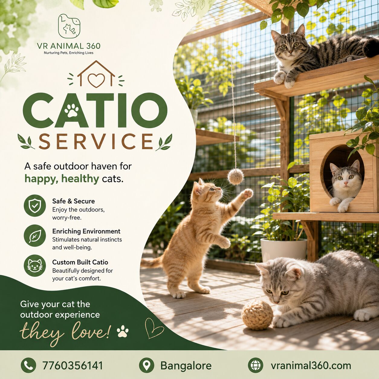Bangalore, Pet Sitting, Custom Cat Catio Design In Bangalore | Safe Outdoor Space For Cats