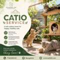 Custom Cat Catio Design In Bangalore | Safe Outdoor Space For Cats