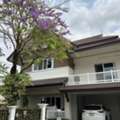 THB 6000000,  4 BR,  91 Sq. Feet,  Single House For Sale With Furniture Parichat Village, Hang Dong, Chiang Mai, 4 Bedrooms,