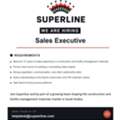 Sales Executive