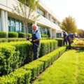 Refresh Your Property&rsquo;s Appearance With Routine Landscape Care