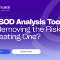 SAP SOD Analysis Tool: Is It Removing The Risk Or Creating One?