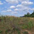 THB 280000,  6 BR,  49873 Sq. Feet,  Year 69, Looking For Wealth With Good Conditions Beautiful Land For Sale Next To The