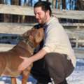 Training For Aggressive Dogs