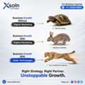 Grow Your Business With SEO & Meta Ads | Xsoln Technologies