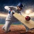 Cricket Exchange ID &ndash; A Simple Guide For Cricket Enthusiasts