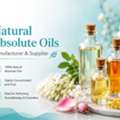 Natural Absolute Oils Manufacturer & Supplier