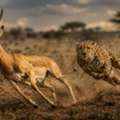African Adventures Motorcycle Safari &ndash; Kenya & Tanzania
