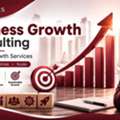 INR 100,  Business Growth Consulting | Business Growth Services | Bizklinics