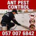 🐜🚫 ANT PEST CONTROL KHOBAR 🚫 057 007 6842 🐜