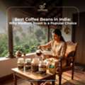 Best Coffee Beans In India: Which Region Produces The Finest Brew?