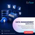 Boost Productivity And Data Usability With EnFuse&rsquo;s Proven Data Management Services