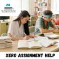 Expert Xero Assignment Support For Better Academic Results